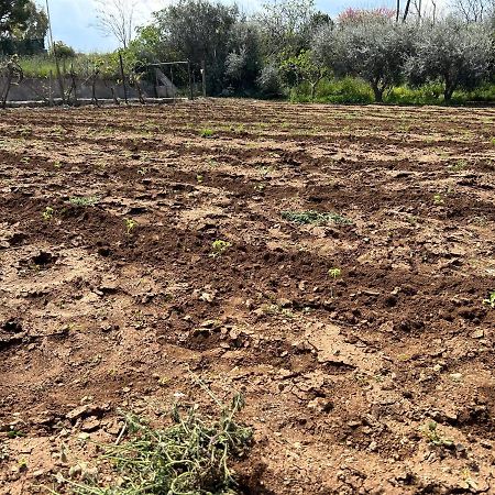 Clave, Affittacamere, Casa Vacanze Cozze Εξωτερικό φωτογραφία