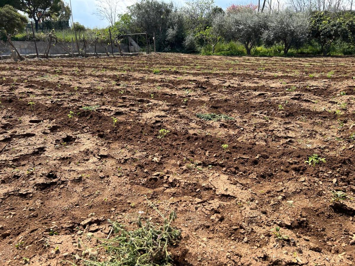 Clave, Affittacamere, Casa Vacanze Cozze Εξωτερικό φωτογραφία